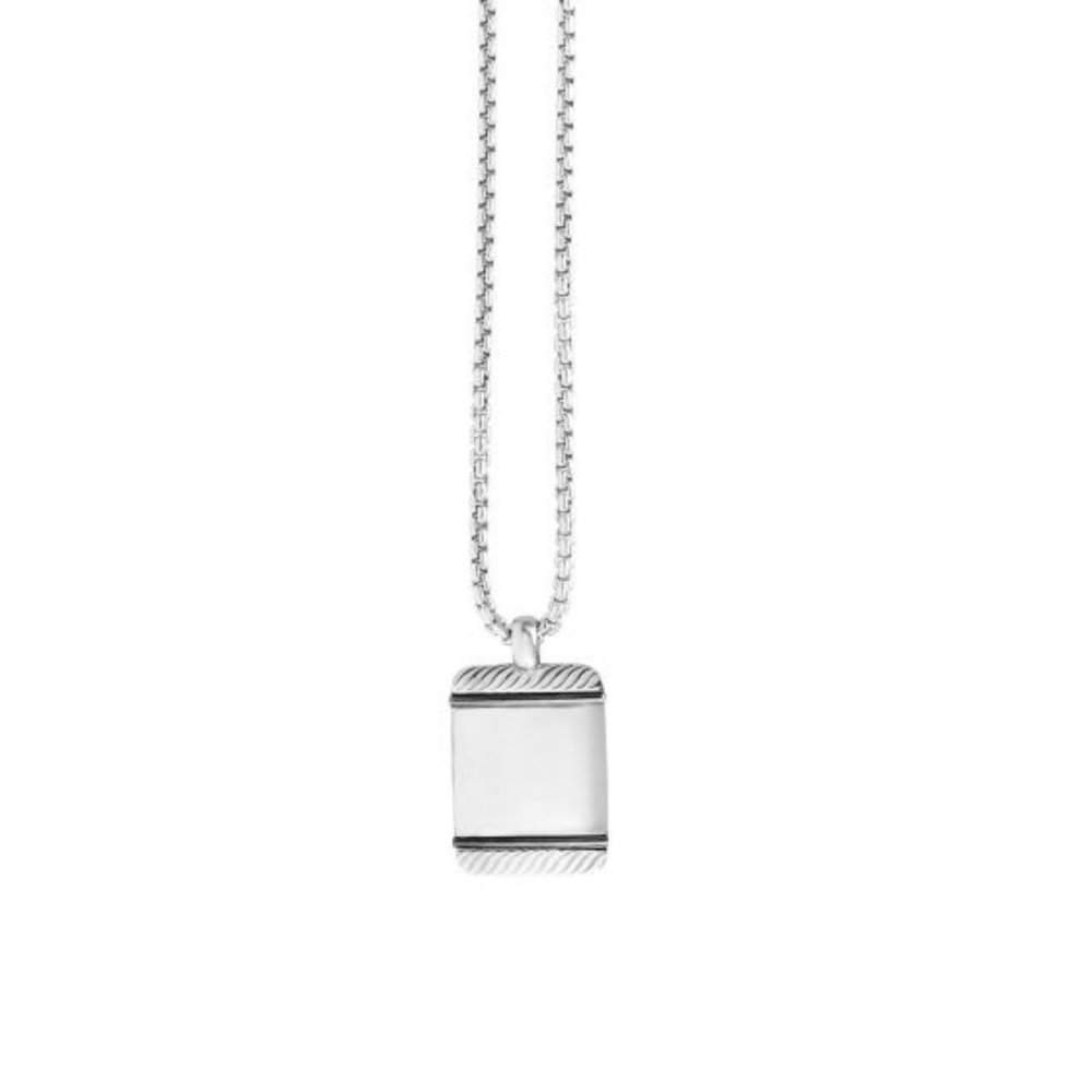 31.5x18.8mm Polished Dog Tag Pendant on 22" Chain
